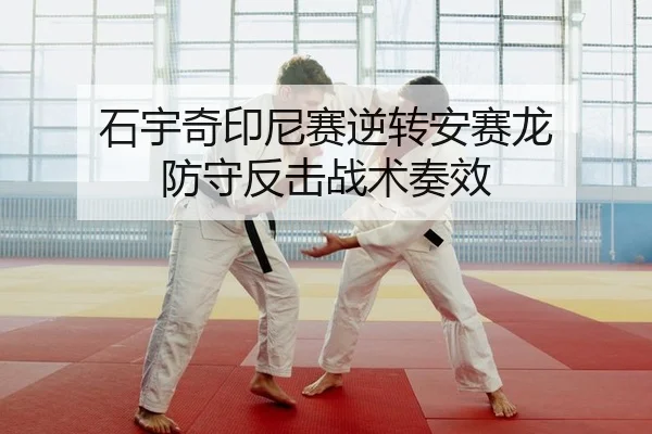 shi-yu-qi-yin-ni-sai-ni-zhuan-an-sai-long-fang-shou-fan-ji-zhan-shu-zou-xiao-2-336.jpg